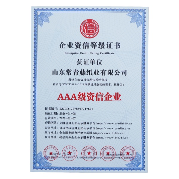Enterprise Credit Rating Certificate