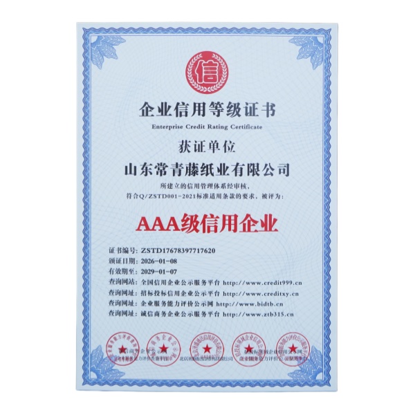 Enterprise Credit Rating Certificate